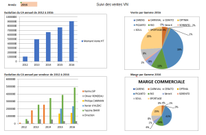 Graphes suivi ventes Datacar